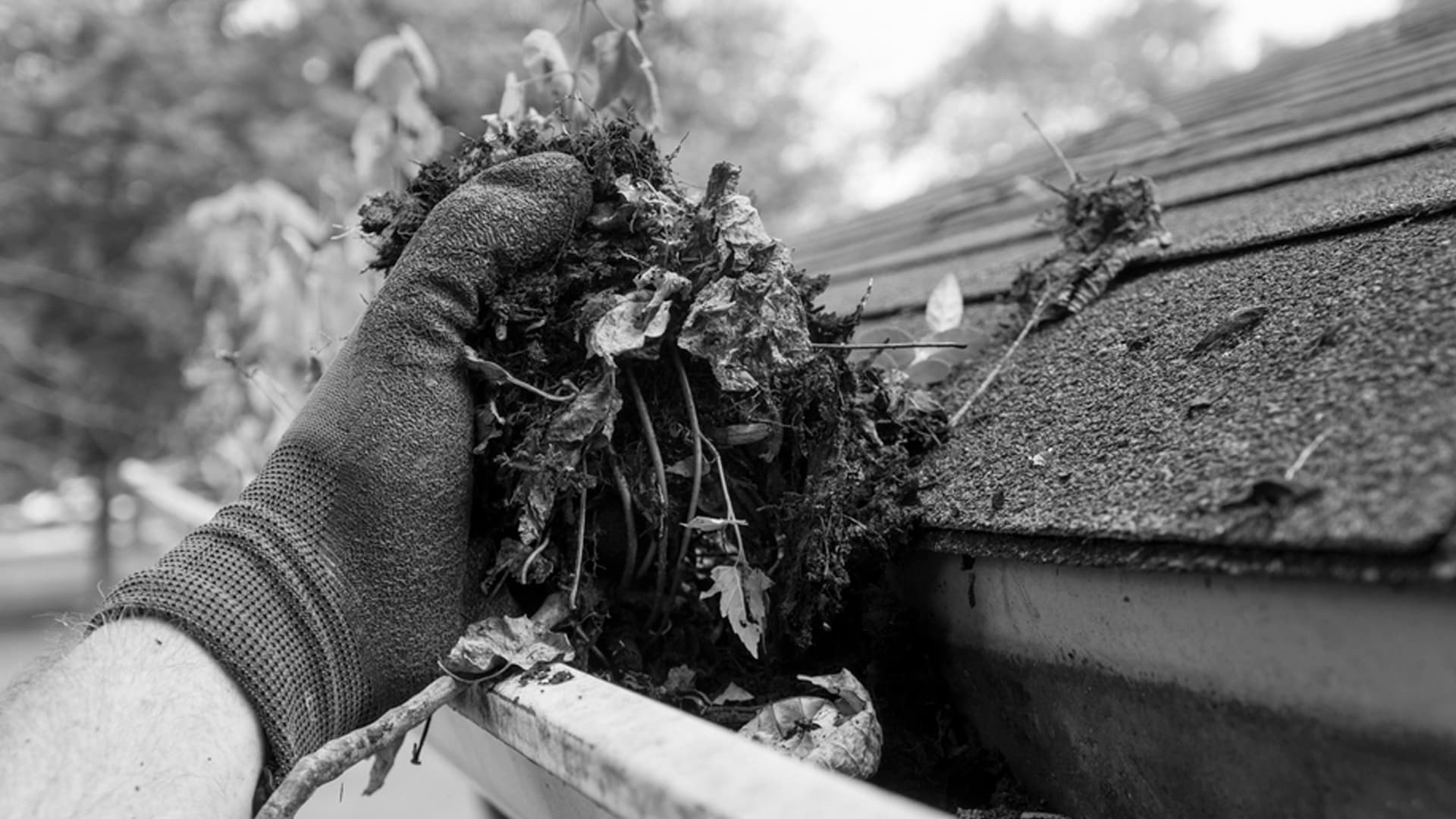 Gutter Cleaning Banner